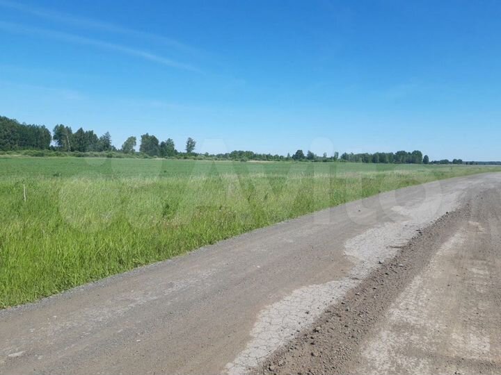 Участок 5,92 га (СНТ, ДНП)