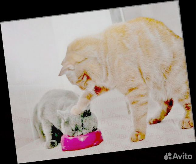 Подсобный рабочий на склад Еженед. оплата /спецоде