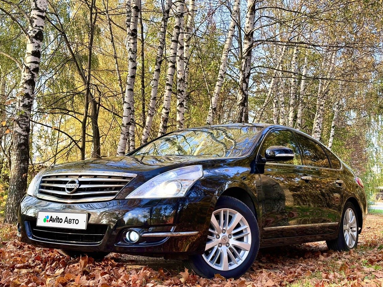 Nissan Teana: фото владельца