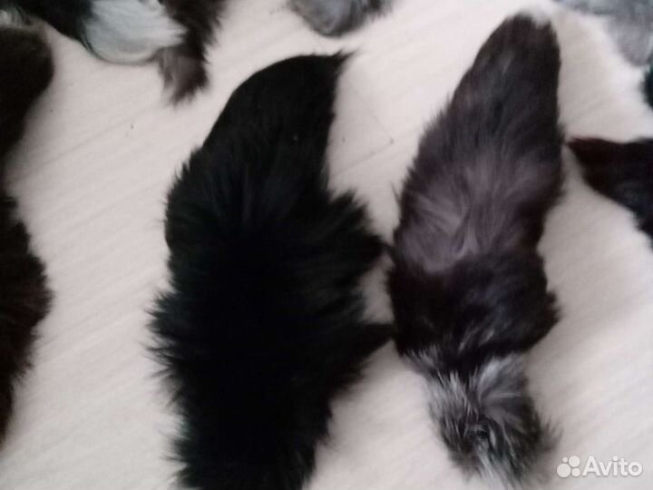 Хвосты лисьи для костюмов