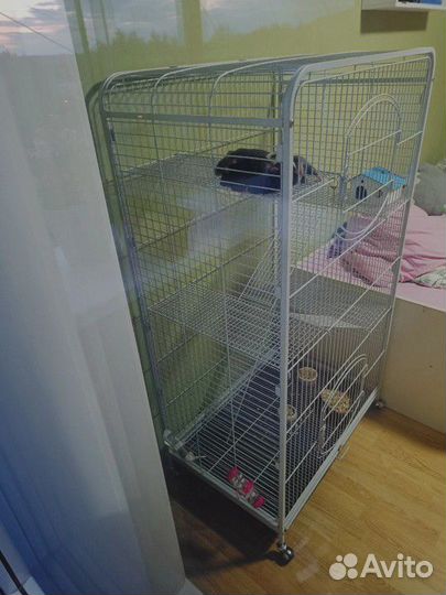 Клетка для крупных грызунов