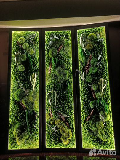 Панно из мха с подсветкой 120*60см