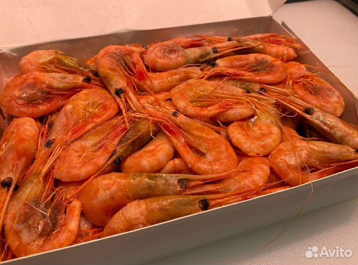 Креветка северная. Промфлот. Опт