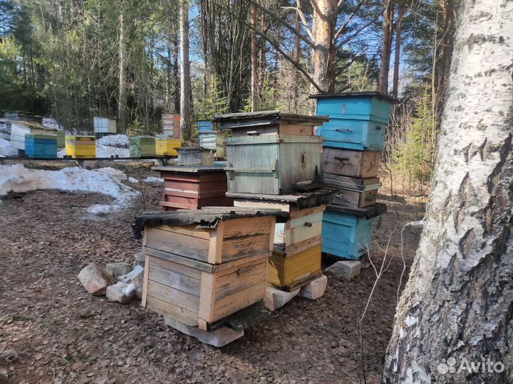 Ульи для пчел