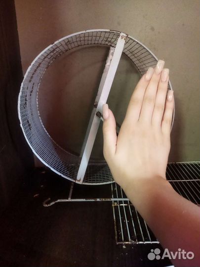 Пренадлежности для грызунов