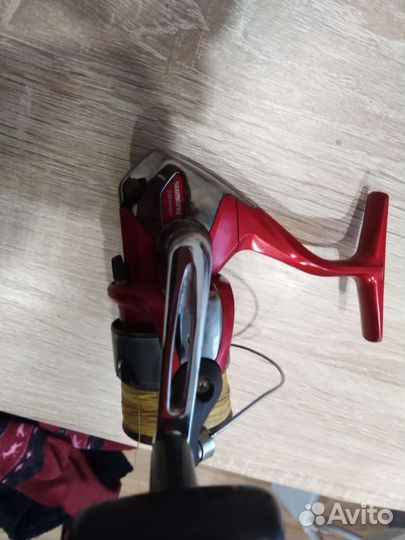 Охота и рыбалка