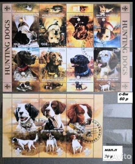 Подборка Фауна 6 собаки кошки. Сборник