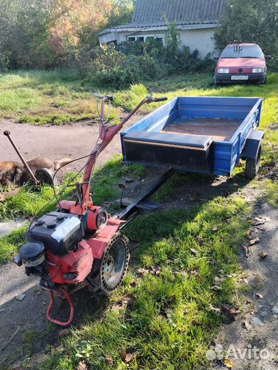 Мотоблоки и культиваторы