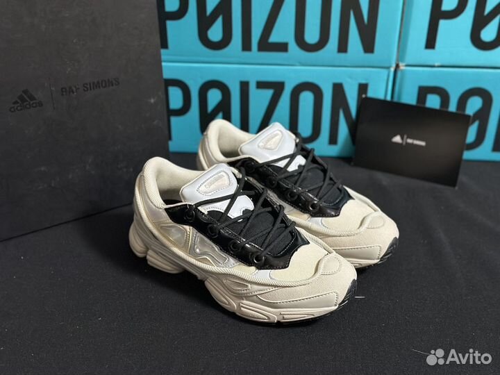 Adidas Originals x Raf Simons Ozweego люкс