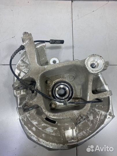 Кулак задний левый