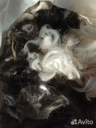 Собачья шерсть пух, 1,700гр