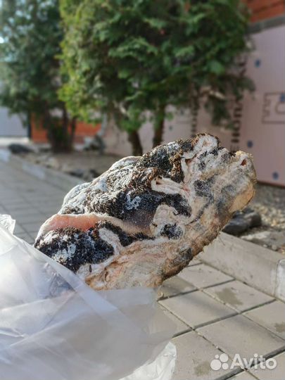 Рубец / обрезь для собак