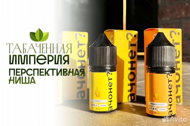 Профессиональная поддержка от 