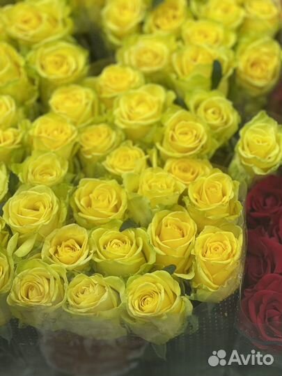 Букеты из 101 розы, 51 розы, 25 роз с доставкой