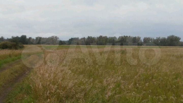 Участок 16 га (СНТ, ДНП)