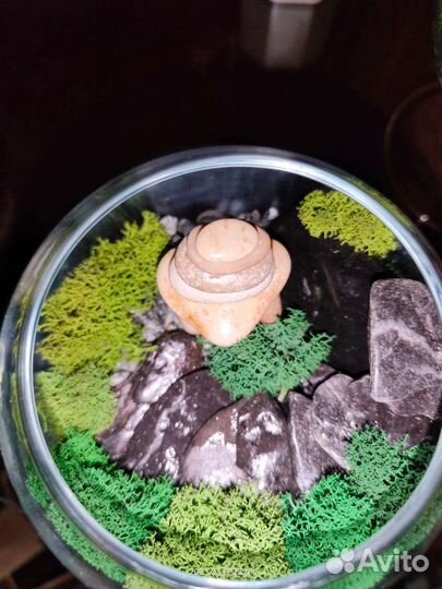 Моссариум со стабилизированным мхом.Декор.Подарок