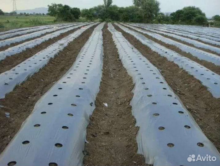 Пленка перфорированная для посадок