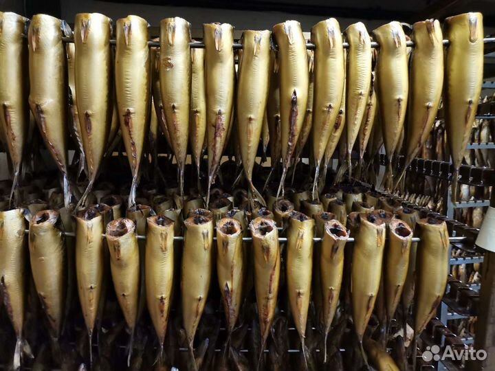 Обучение технологии переработки рыбы