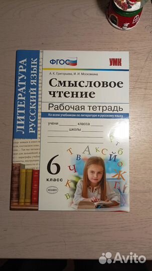 Рабочие тетради 6 класс