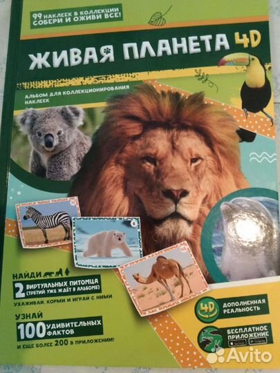 Наклейки глобус