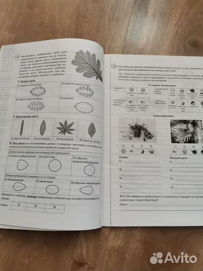 Типовые задания ВПР 6 класс 2021 год