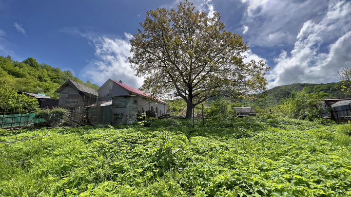 Участок 8,5 сот. (ИЖС)