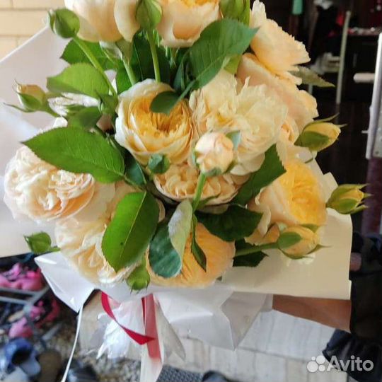 Роза тепличная от производителя