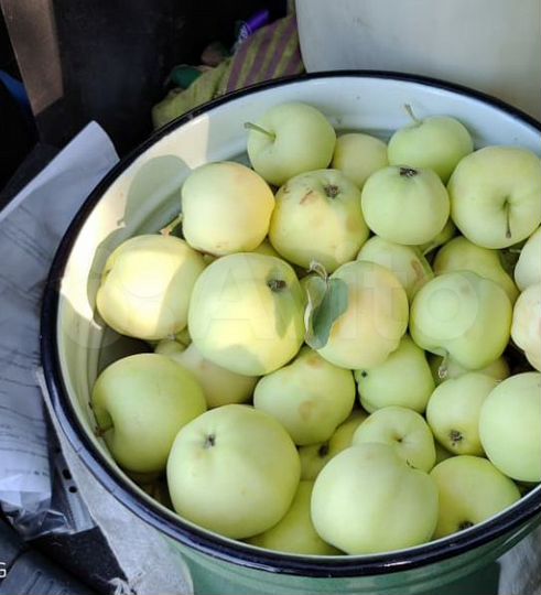 Дача 16 м² на участке 8 сот.