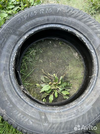 Matador MP 30 Sibir Ice 2 215/65 R16 98T