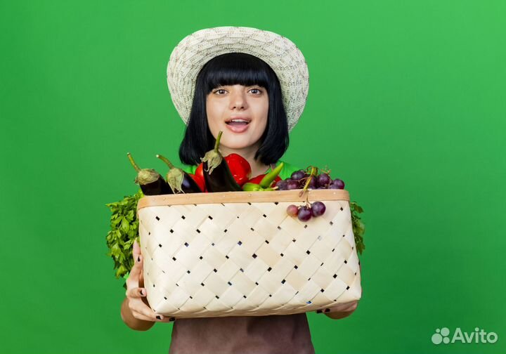 Пеший курьер. Комфортные условия