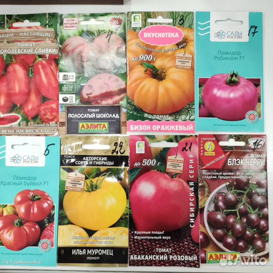 Рассада томатов, перцев