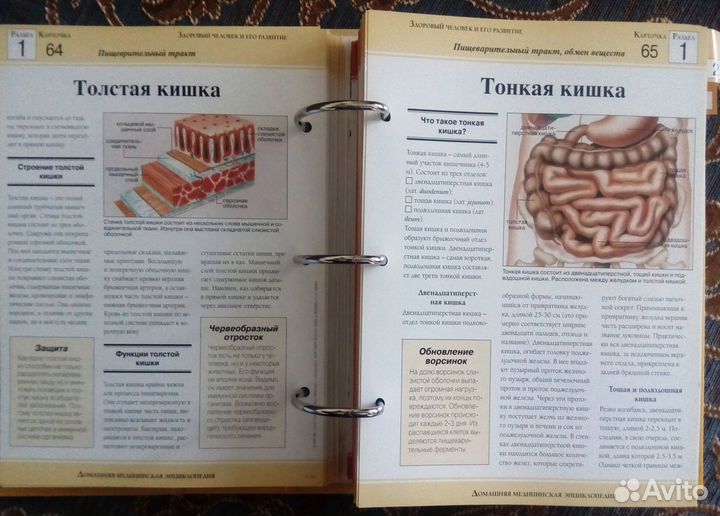 Энциклопедия