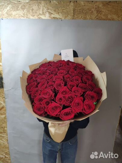 Роза 51шт