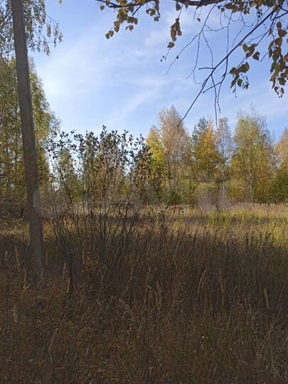 Участок 10 сот. (СНТ, ДНП)