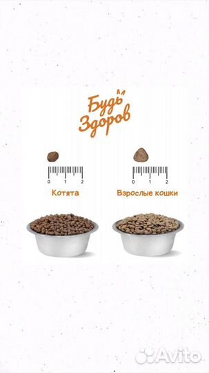 Сухой корм Будь Здоров для кошек с рыбой 1 кг