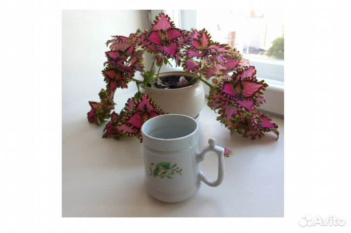 Фарфор вербилки СССР