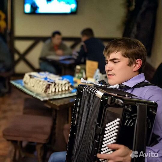 Баянист Аккордеонист Гармонист