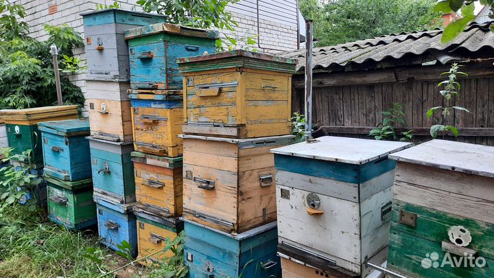 Продам ульи бу