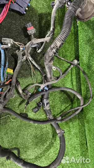 Проводка двигателя 11194 Лада Калина 1.4 16 кл