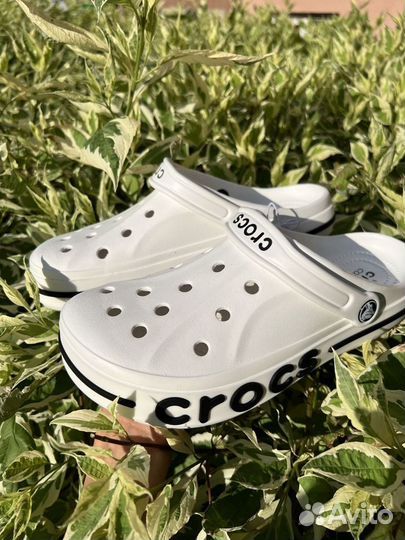 Crocs sabo мужские LUX