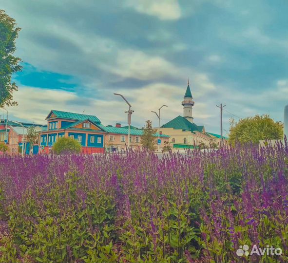 Гид экскурсовод