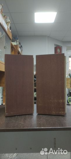 Акустическая система колонки маяк 10ас 318