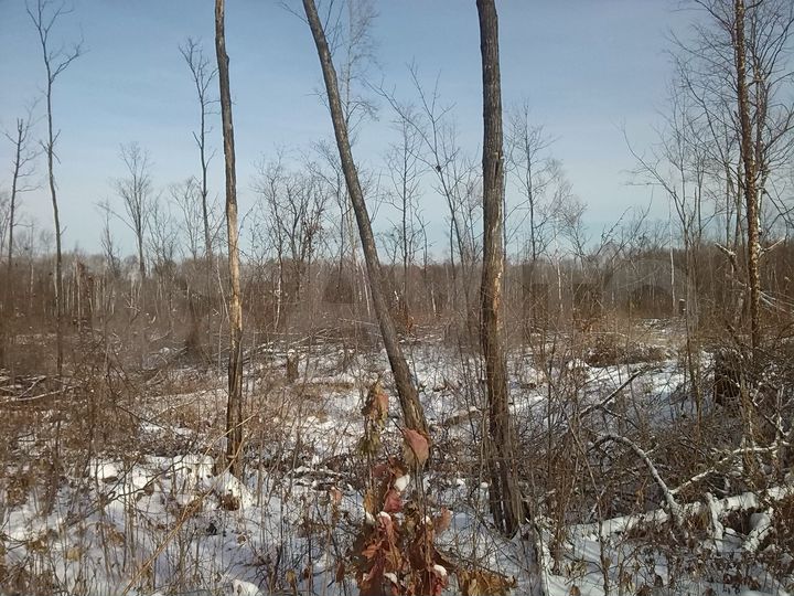 Участок 15,3 сот. (ИЖС)