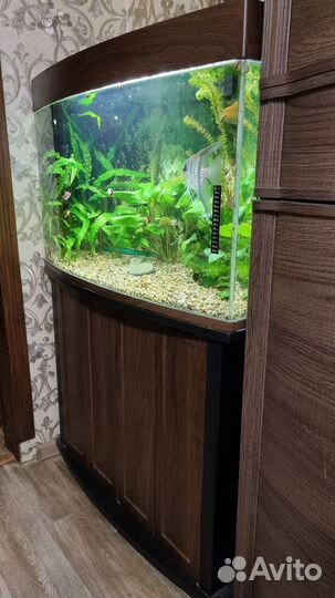 Аквариум с тумбой