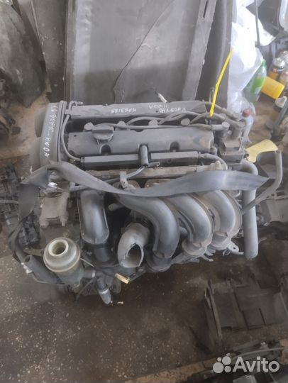 Двигатель форд фокус hwda. 1.6 100лс