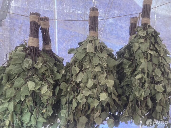 Веники для бани оптом