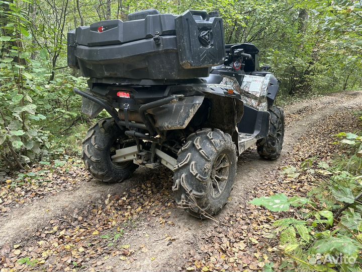 Stels guepard 650 2018 год рест