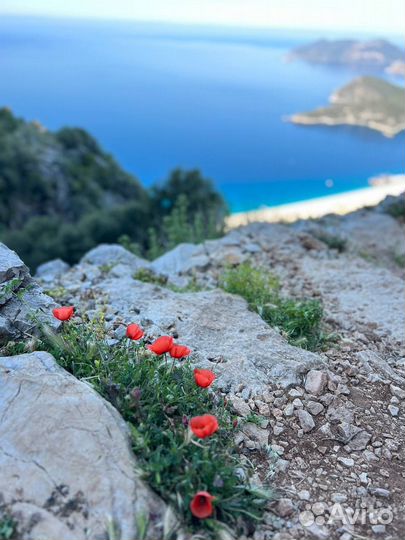 Аромадиагностика по селективной парфюмерии