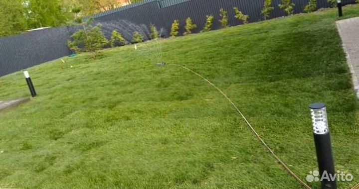 Газон. Рулонный газон