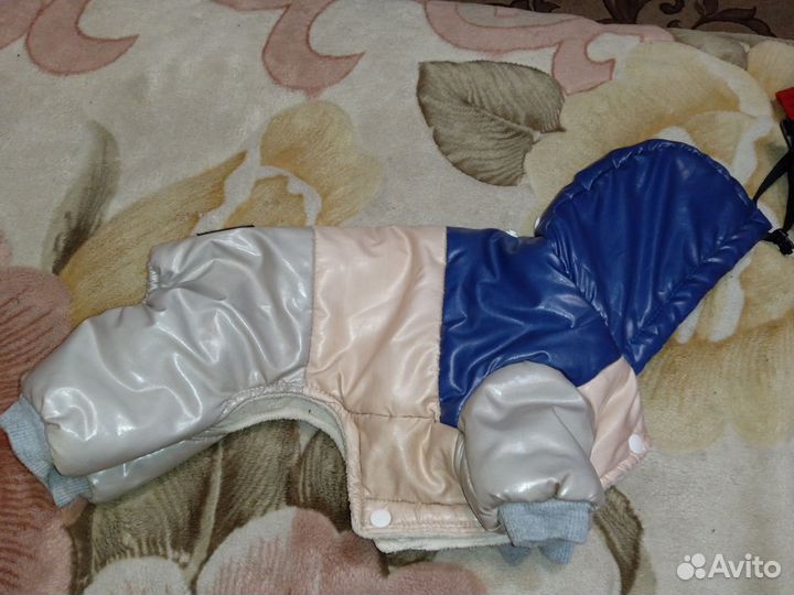 Зимний костюм для собак